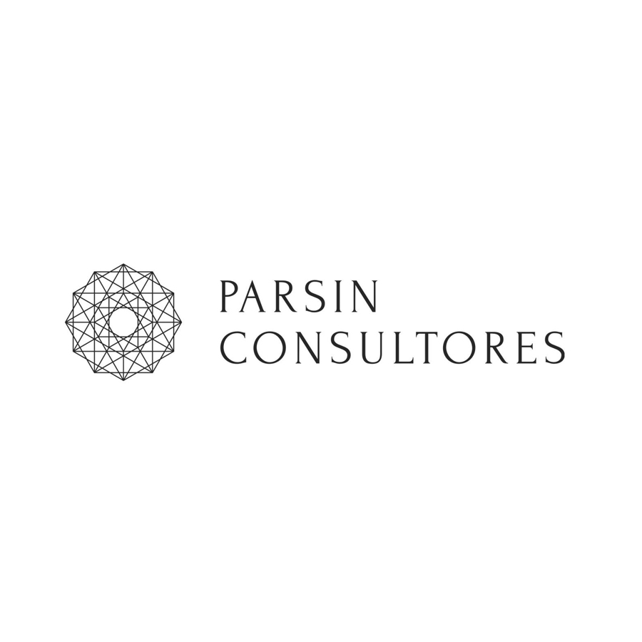 PARSIN Consultores